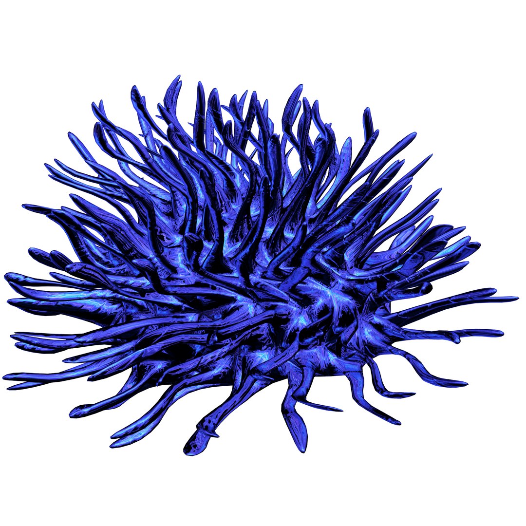 3D coral https://p.turbosquid.com/ts-thumb/W8/vBLUEJ/MjqCrRBx/15/png/1508066871/1920x1080/fit_q87/703e3c1b04e6cc00d348cd3847609e149b6a0749/15.jpg