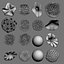 Coral Collection