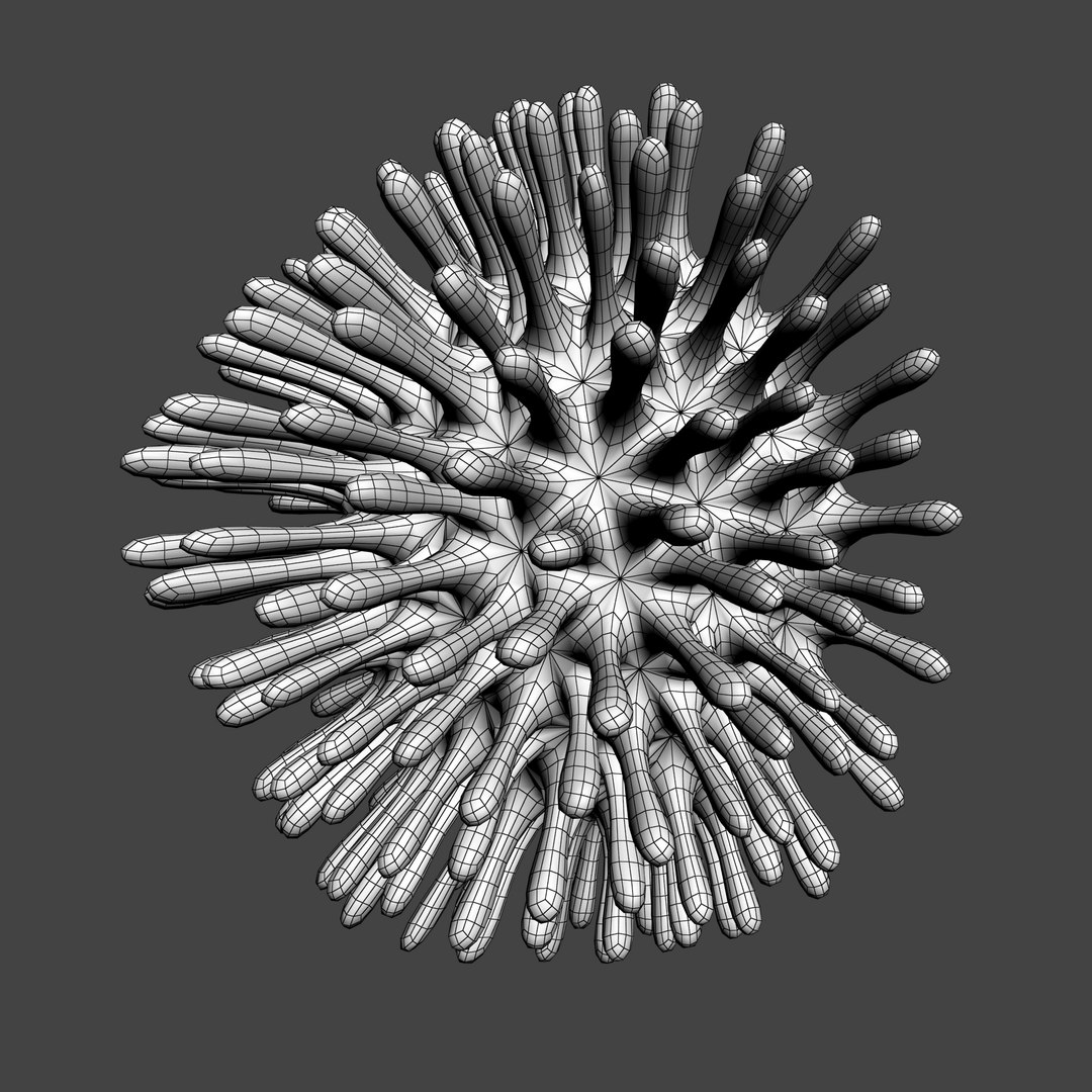 3D coral https://p.turbosquid.com/ts-thumb/W8/vBLUEJ/UoRarYXG/wire_13/png/1508066872/1920x1080/fit_q87/47fe800ac12e468deb71c4b1830d3c155a0b1cb4/wire_13.jpg