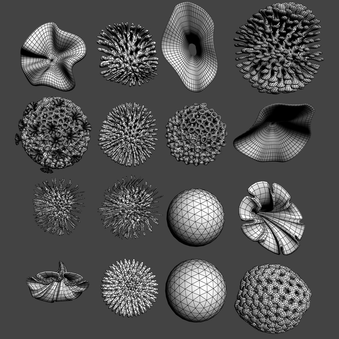 3D coral https://p.turbosquid.com/ts-thumb/W8/vBLUEJ/UqbYRaFG/wire_29/png/1508066872/1920x1080/fit_q87/b2777b3e547182d20a535476c000cbf46004d877/wire_29.jpg