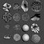 Coral Collection