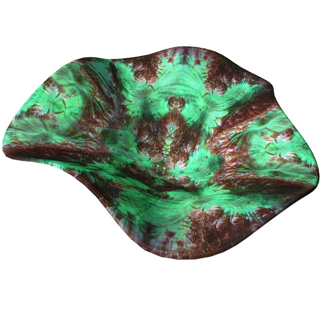 3D coral https://p.turbosquid.com/ts-thumb/W8/vBLUEJ/XNzIxVA4/27/png/1508066871/1920x1080/fit_q87/9a2da37a7c8fc40d71c10ab93f40c18af01efdf3/27.jpg