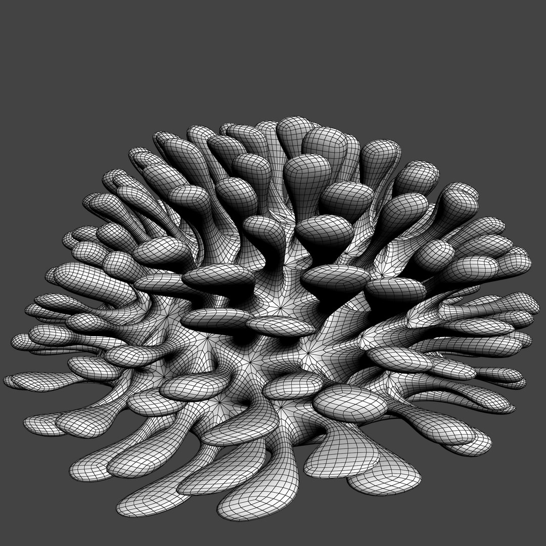 3D coral https://p.turbosquid.com/ts-thumb/W8/vBLUEJ/ZdMCtNQF/wire_23/png/1508066872/1920x1080/fit_q87/6d8ba24d563777b9aabb599bb3f648bb5924e781/wire_23.jpg