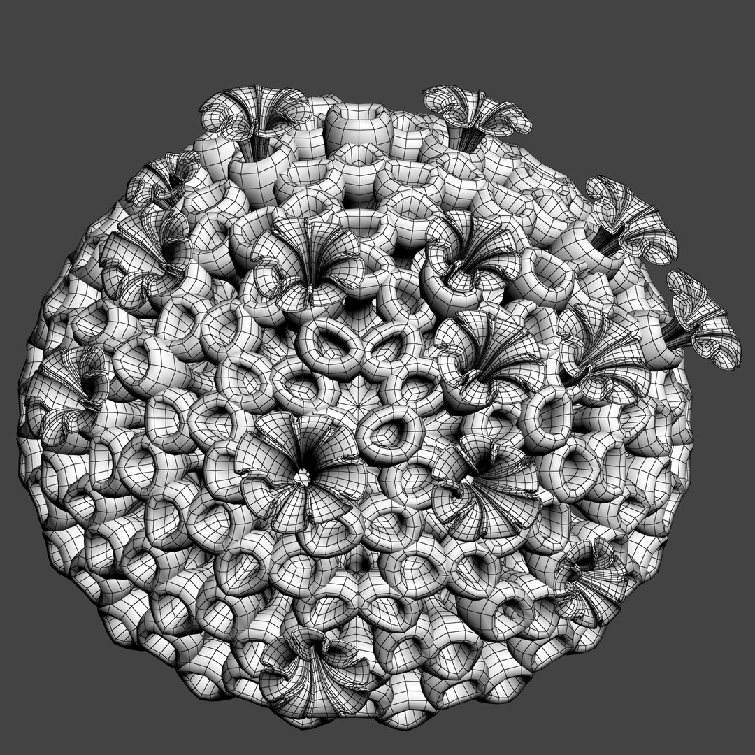 3D coral https://p.turbosquid.com/ts-thumb/W8/vBLUEJ/ZxNpWCgH/wire_04/png/1508066872/1920x1080/fit_q87/fbaf9428d78b55cfc2fe0b4149adbf05d716d3be/wire_04.jpg