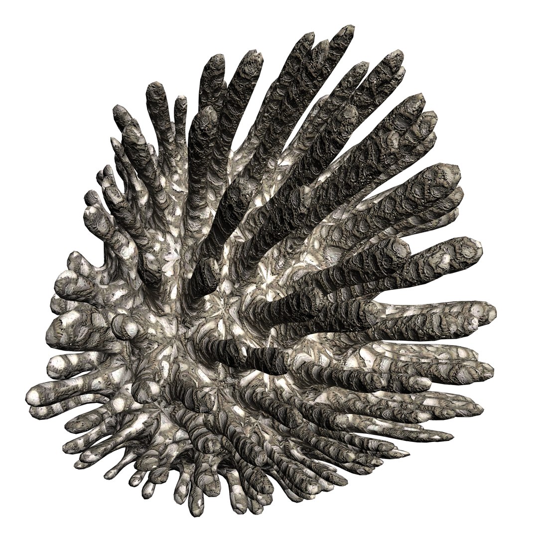 3D coral https://p.turbosquid.com/ts-thumb/W8/vBLUEJ/a4FBvHui/06/png/1508066871/1920x1080/fit_q87/d8e2e163e53077e02fded8e0a7a47f0eb29fa83c/06.jpg