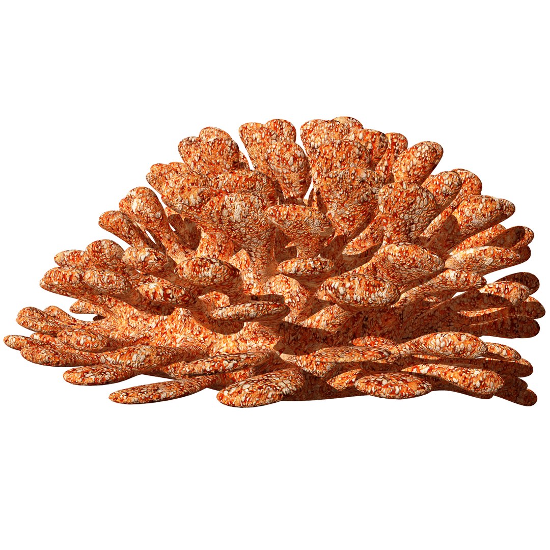 3D coral https://p.turbosquid.com/ts-thumb/W8/vBLUEJ/b2ND3o4z/25/png/1508066871/1920x1080/fit_q87/dc6b4d43e4bf4eab7a3d146a6c84e485a60b5fa5/25.jpg