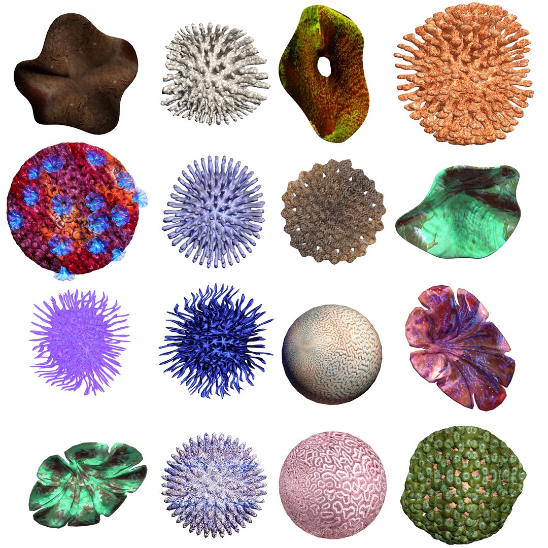 3D coral https://p.turbosquid.com/ts-thumb/W8/vBLUEJ/dr2fx8CI/01/png/1508066871/1920x1080/fit_q87/d175faba62845572ea840f9a6589edf5a353f0b1/01.jpg