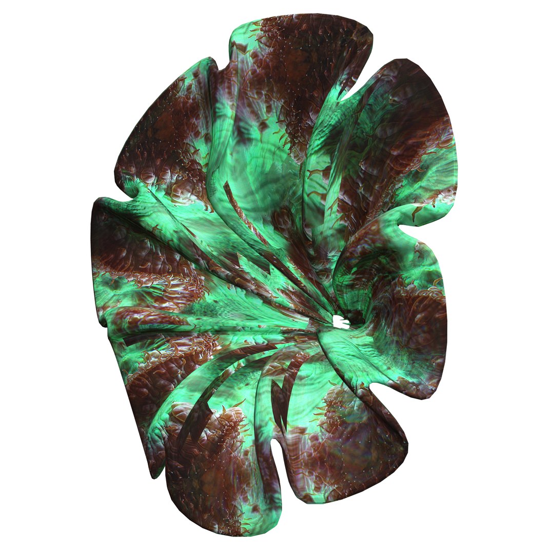 3D coral https://p.turbosquid.com/ts-thumb/W8/vBLUEJ/ljNV2rce/11/png/1508066871/1920x1080/fit_q87/e0d965c432b7eade888729ecc9f8af123e95cf3b/11.jpg