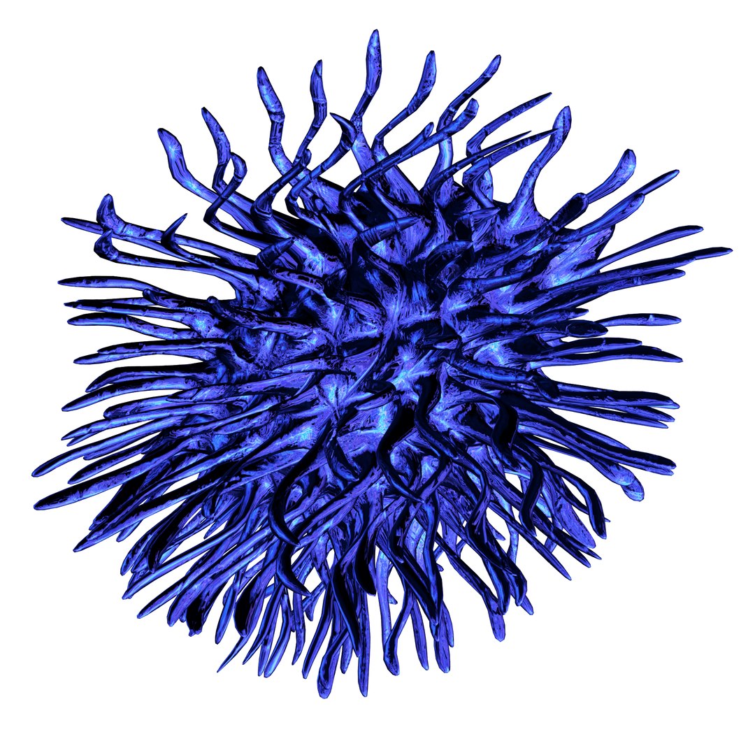 3D coral https://p.turbosquid.com/ts-thumb/W8/vBLUEJ/qAyHOXgB/14/png/1508066871/1920x1080/fit_q87/9f499a5faa6e81bd2af9d1b9effd2484ee1d0e02/14.jpg