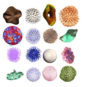 3D coral