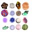 Coral Collection