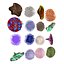 Coral Collection