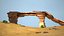 Sandgrasdüne Wüstenlandschaft Sahara Wildnisgebiet
