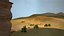 Sandgrasdüne Wüstenlandschaft Sahara Wildnisgebiet