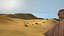 Sandgrasdüne Wüstenlandschaft Sahara Wildnisgebiet