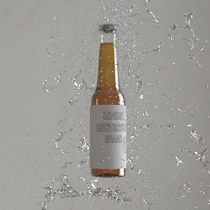 beer bottle 3d max