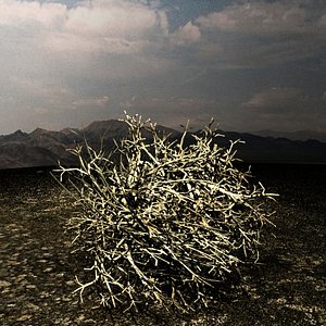 Tumbleweed - Max Scanline