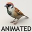 Sparrow Animated