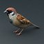 3d model sparrow