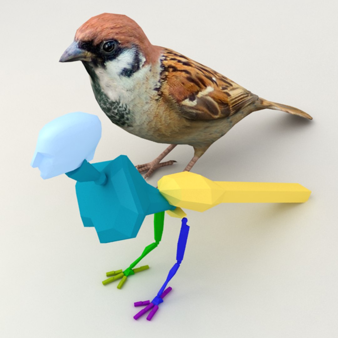 3d model sparrow https://p.turbosquid.com/ts-thumb/W9/XUgIVN/okAPGSGv/v4/png/1390546489/1920x1080/fit_q87/5baa4157a1ff89769ee20dd3ec4e6e634cc82b87/v4.jpg