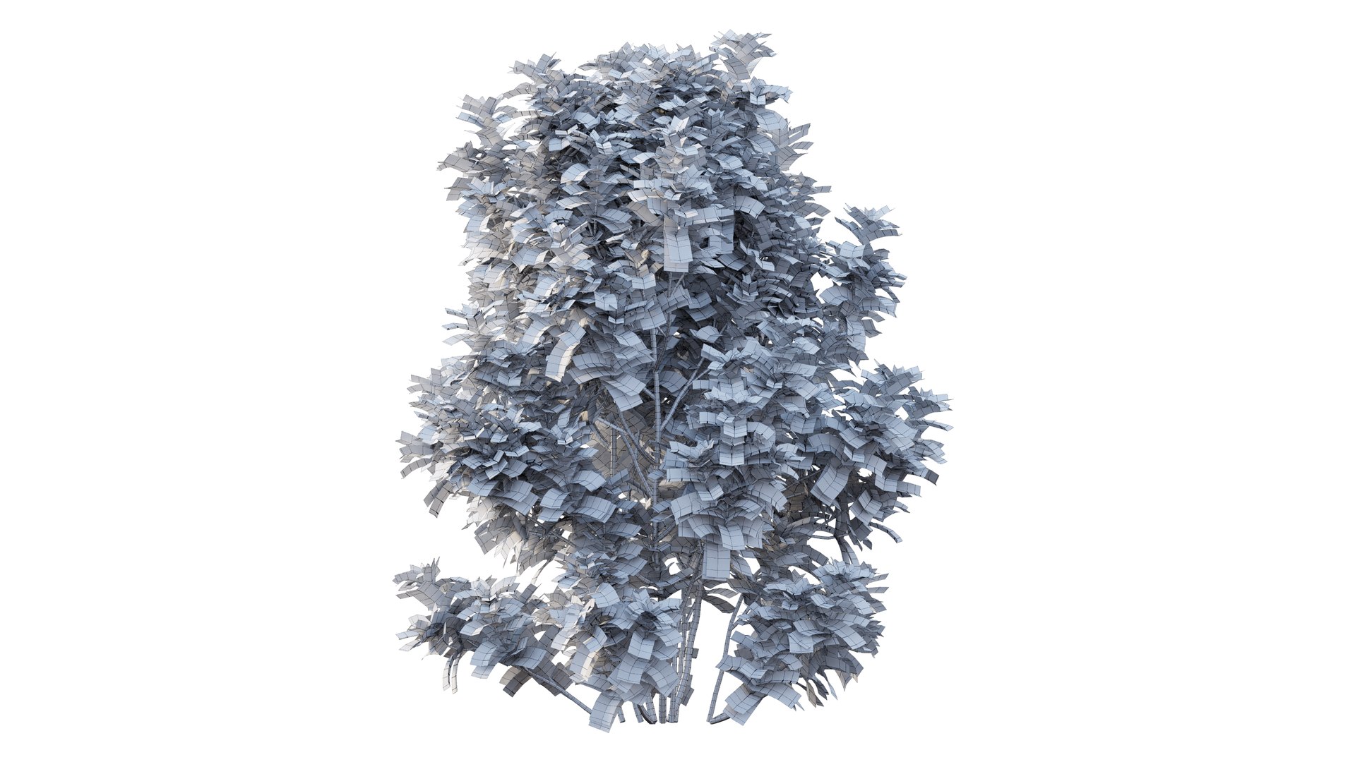 gardenia angustifolia merr plant 3D model https://p.turbosquid.com/ts-thumb/W9/fmz55p/KLp8gqN3/9_interactivelightmix/png/1603701446/1920x1080/fit_q87/7c710b492b9d62faeedfe424b8029b6f6e2487fd/9_interactivelightmix.jpg