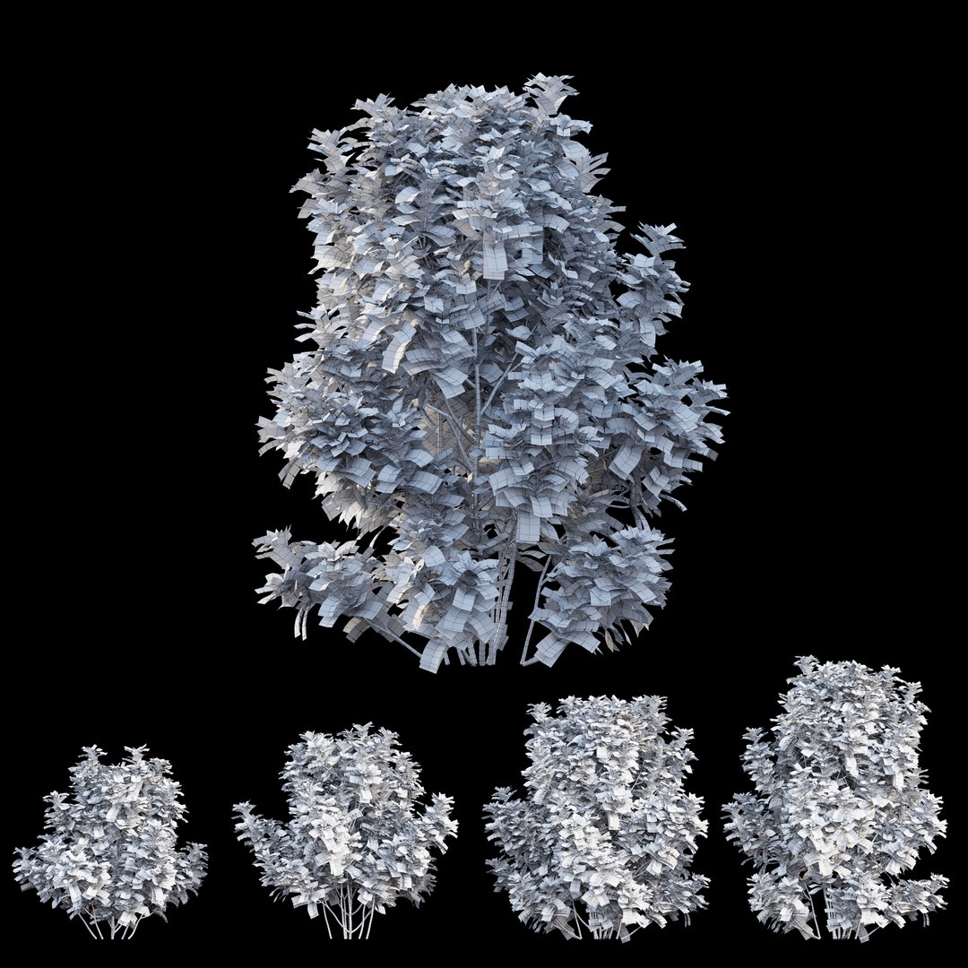 gardenia angustifolia merr plant 3D model https://p.turbosquid.com/ts-thumb/W9/fmz55p/ugKaPMOM/view07/jpg/1596438375/1920x1080/fit_q87/a306e6951fa79d551a8fa205bb0c79dcad5f6eed/view07.jpg