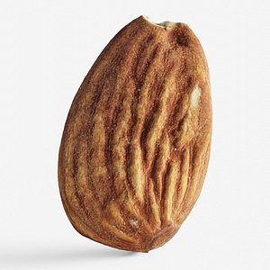 Scanned almond nut