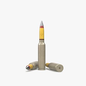 Bullet 30x173
