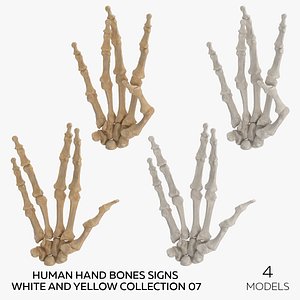 3D Human Hand Bones Signs White and Yellow Collection 07 - 4 models