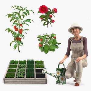 Gardening Lady with Plants Collection 3D model