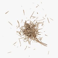 Animated  Splinter Explode Random