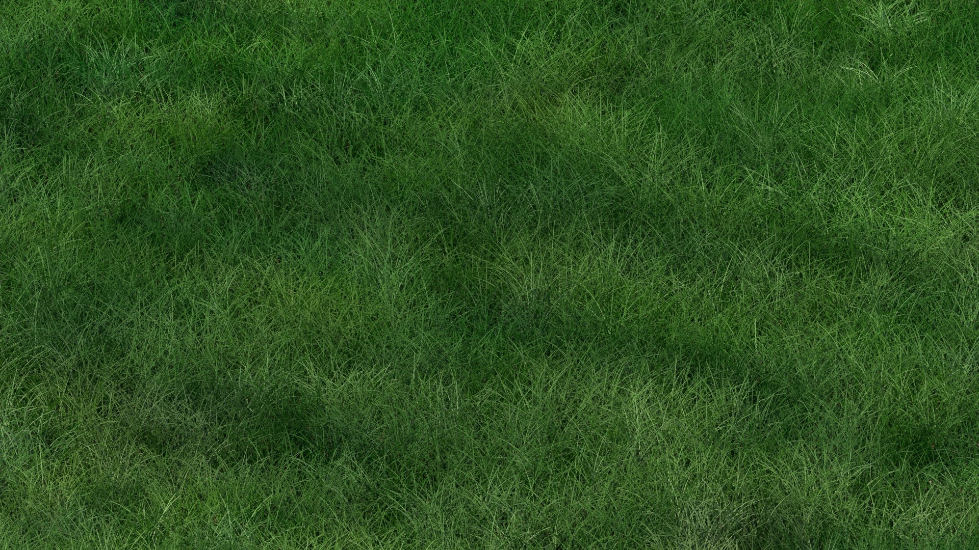 3D grass lawn nature https://p.turbosquid.com/ts-thumb/WA/JCrGPV/JM/grass9/jpg/1609236652/1920x1080/fit_q87/e3bb41c3c64b475e135dfa489cc0b7026e9f229f/grass9.jpg