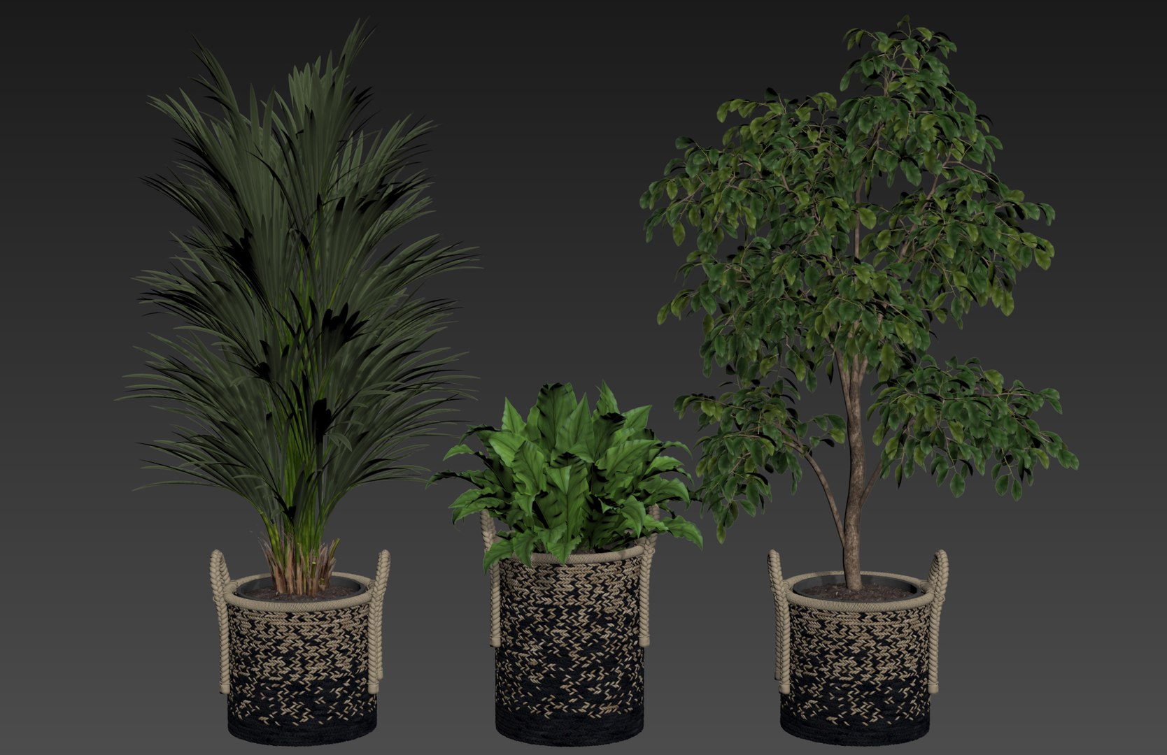 plants 3D model https://p.turbosquid.com/ts-thumb/WA/KpnGcP/TW/w/jpg/1615026522/1920x1080/fit_q87/9fc402c26cdf9186768afa0709c1c5f568c84275/w.jpg