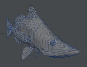 Snook_fish