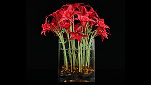 Plant 24 3D