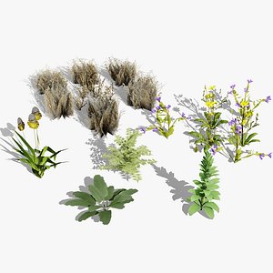 3D Game-Ready Dry Wild Foliage Mega Pack