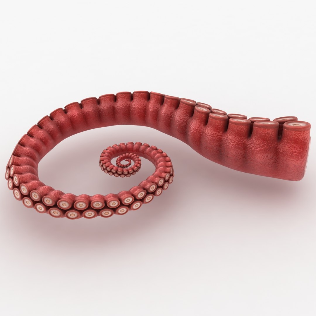 Realistic Octopus Tentacle Pose 3D - TurboSquid 1227804