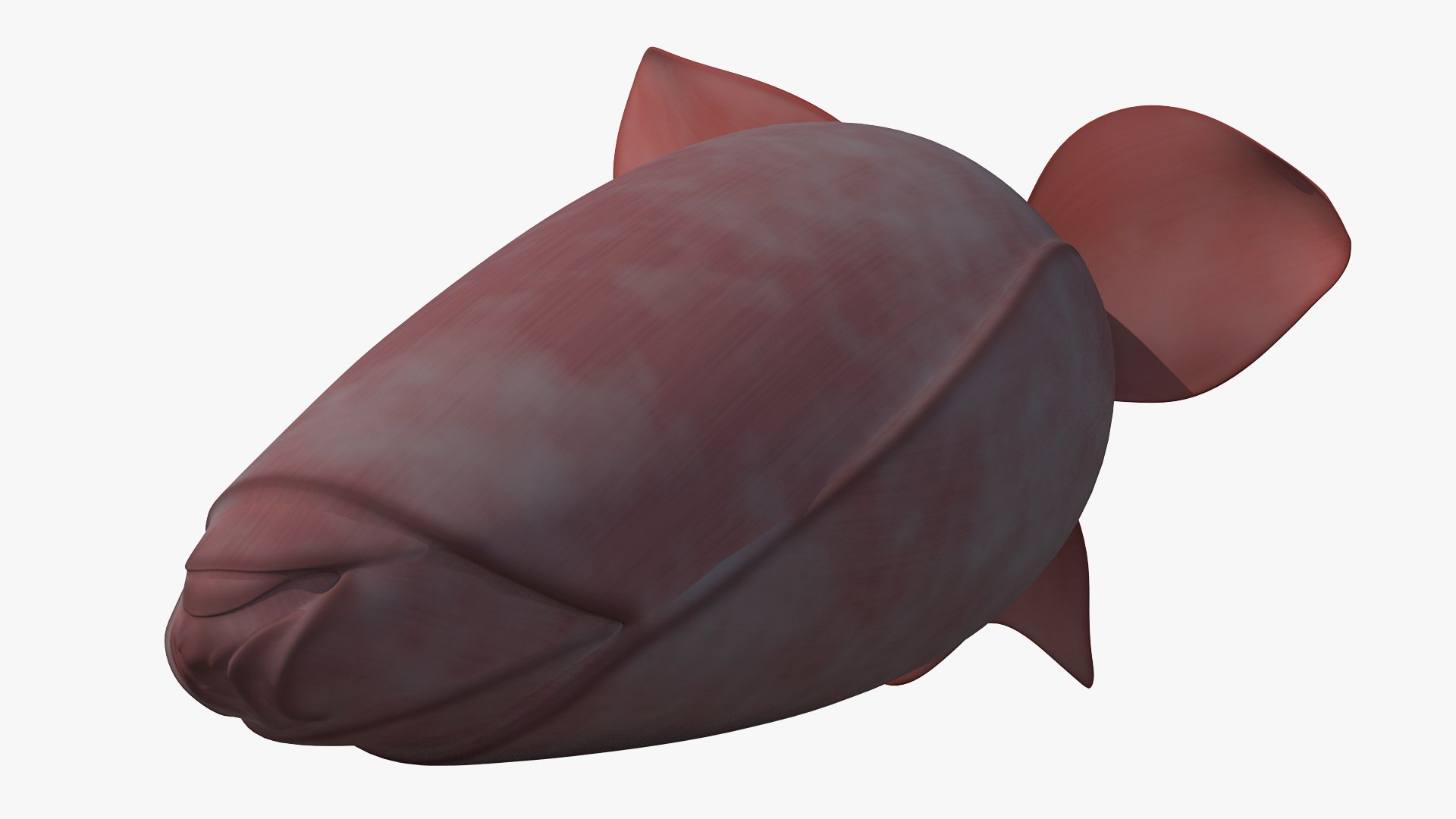 Banana Blossom Flower 3D model preview