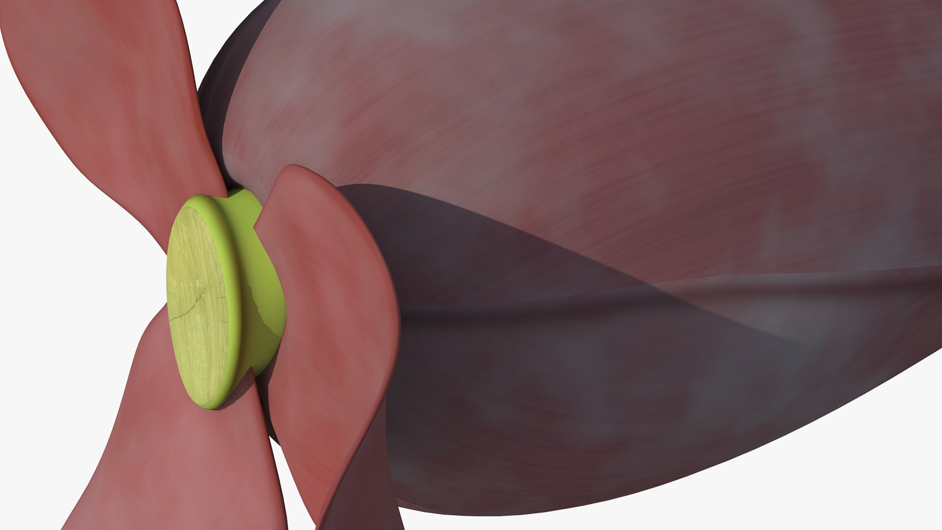 3D banana blossom flower model https://p.turbosquid.com/ts-thumb/WB/QVV6Ck/PWBF81hS/bananablossomflower3dsmodel007/jpg/1591442875/1920x1080/fit_q87/4eeea5749dffe7e8edf2b2c97c5e912ba970df76/bananablossomflower3dsmodel007.jpg