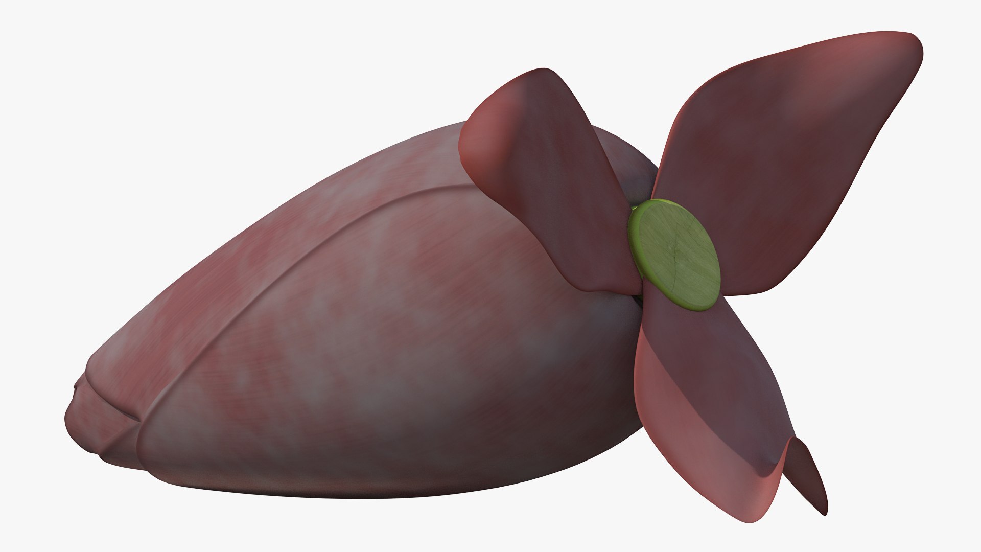 3D banana blossom flower model https://p.turbosquid.com/ts-thumb/WB/QVV6Ck/X18IWp8O/bananablossomflower3dsmodel008/jpg/1591442885/1920x1080/fit_q87/e2998999b4d70f59dc4640ca90fc3229cfdcfc4e/bananablossomflower3dsmodel008.jpg