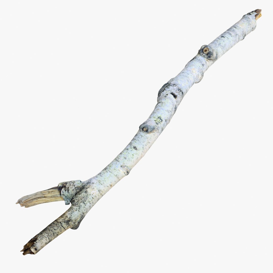 3D Realistic Branch - TurboSquid 1217979