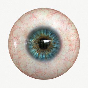 Eye Blue 2 Real-time 3D model 4k texture Marmoset Toolbag3 Maya FBX OBJ