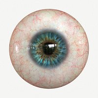 Eye Blue 2 Real-time 3D model 4k texture Marmoset Toolbag3 Maya FBX OBJ
