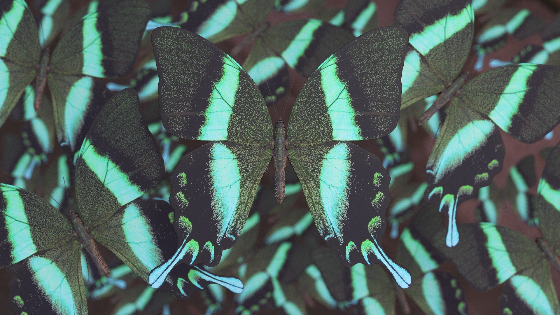 butterfly monarch 3D model https://p.turbosquid.com/ts-thumb/WB/o9vQwV/5p8f6Ehk/1c/png/1596266709/1920x1080/fit_q87/64ed71ca8a865dc830411805722cacbf2d5068a0/1c.jpg