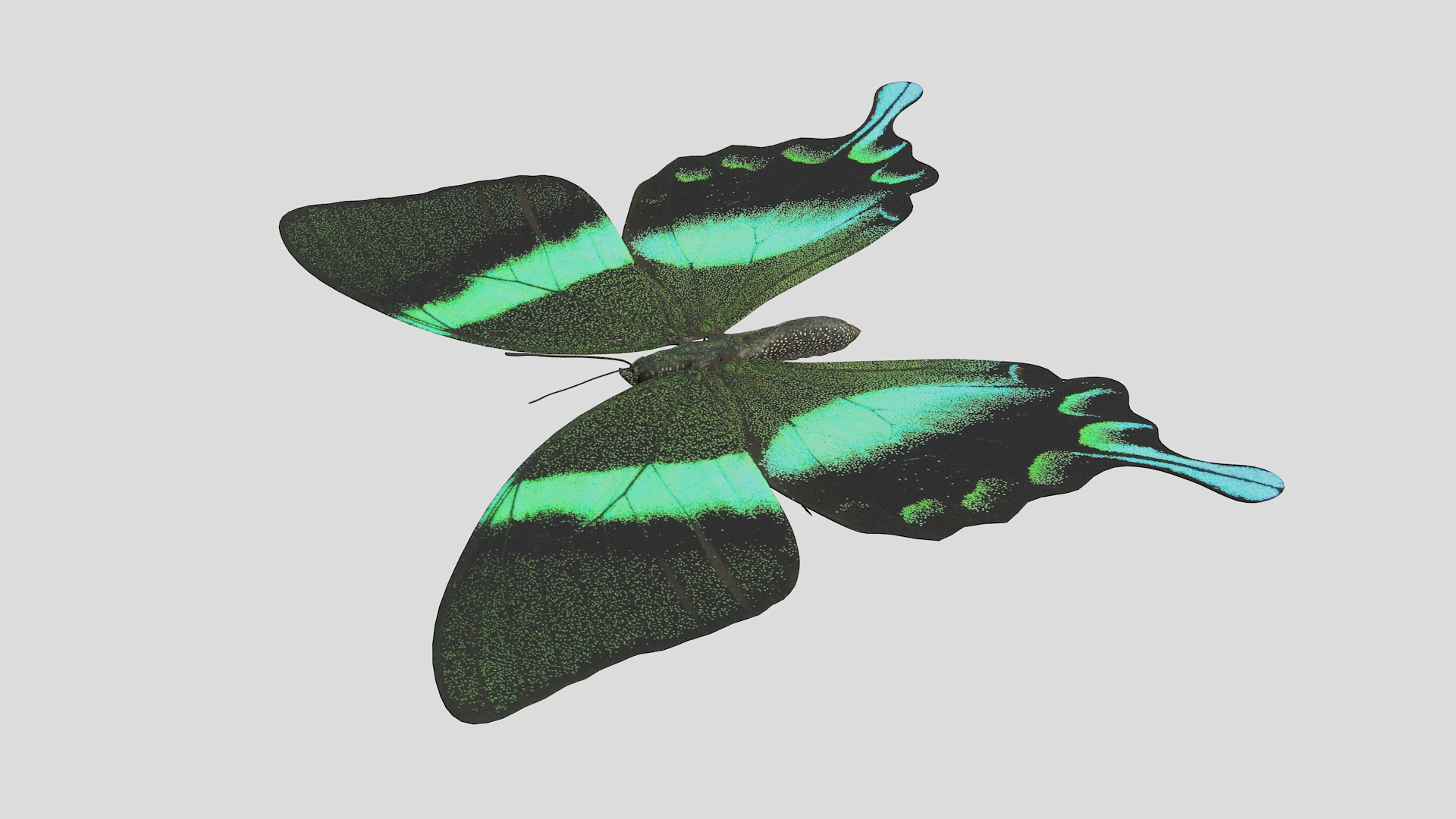 butterfly monarch 3D model https://p.turbosquid.com/ts-thumb/WB/o9vQwV/9aTajzSA/greenpapiliott/png/1596267482/1920x1080/turn_fit_q99/3956e10d29dfce7d7f3b49e7a7550c0b7a66faa8/greenpapiliott-1.jpg
