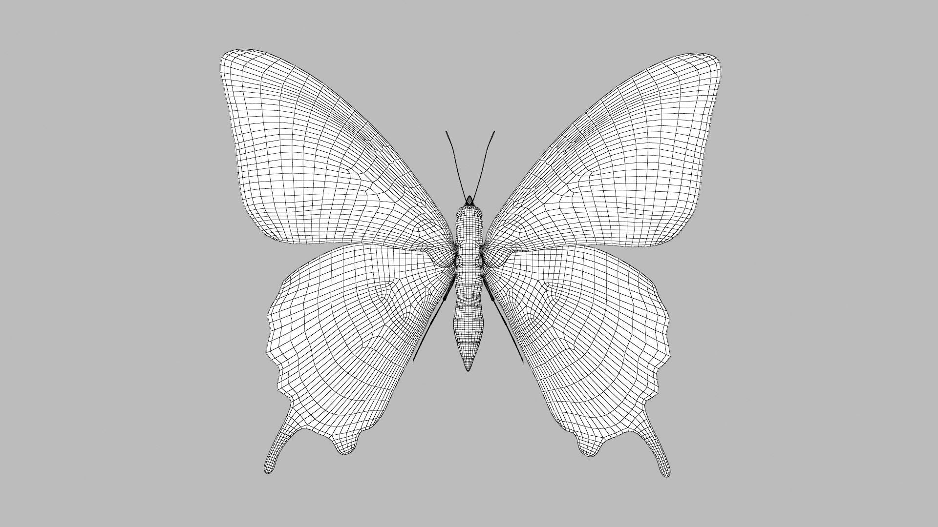 butterfly monarch 3D model https://p.turbosquid.com/ts-thumb/WB/o9vQwV/9o3G7HHD/pappilio_r1w/png/1596266779/1920x1080/fit_q87/896dea20d7ebdf29970fdad560056383699a9047/pappilio_r1w.jpg