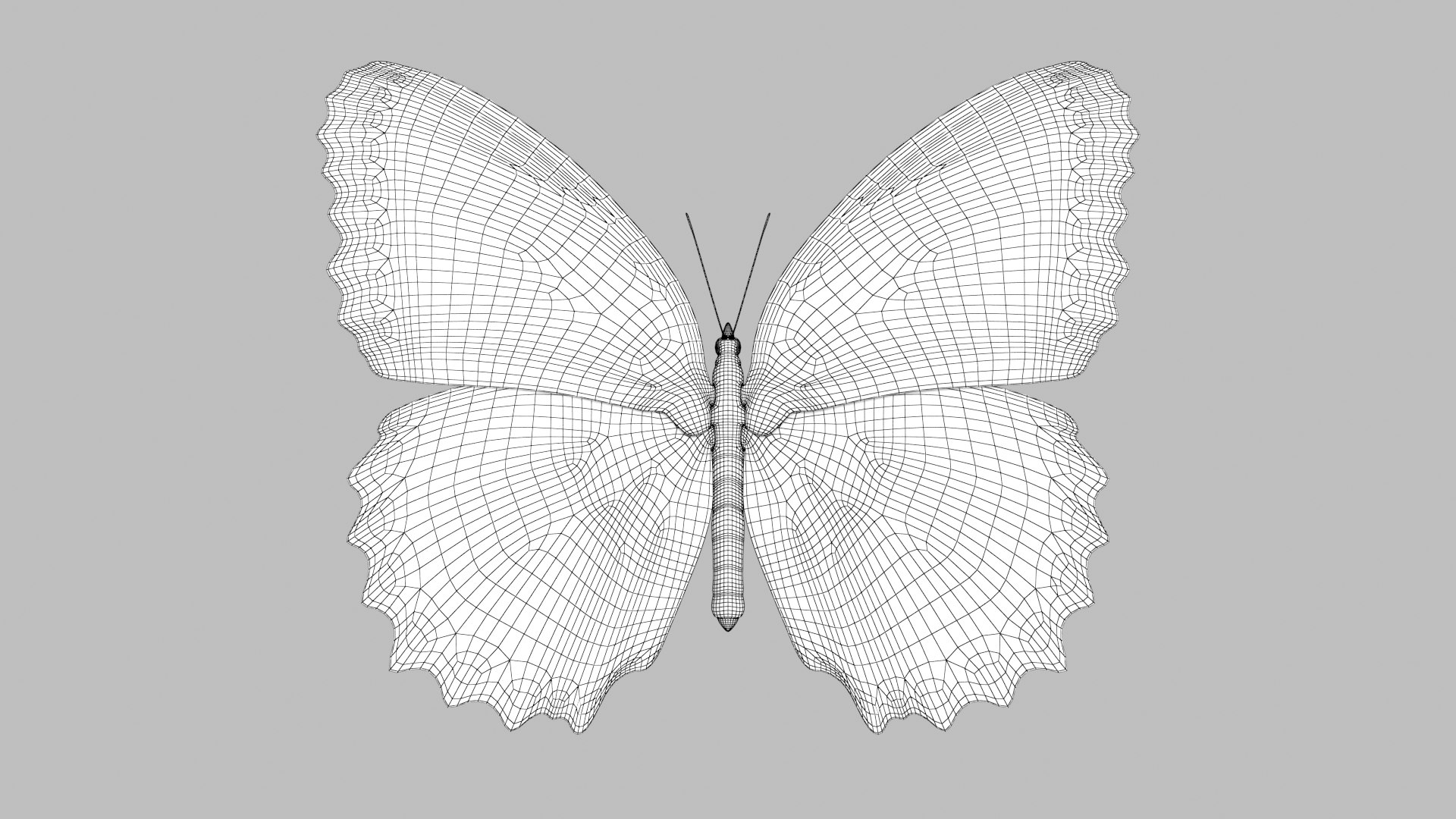 butterfly monarch 3D model https://p.turbosquid.com/ts-thumb/WB/o9vQwV/AgJ7Fhqe/redlacewing_r1w/png/1596266789/1920x1080/fit_q87/6a44cf3b640c7c22d9e8fe4f6d7687622ed5c485/redlacewing_r1w.jpg