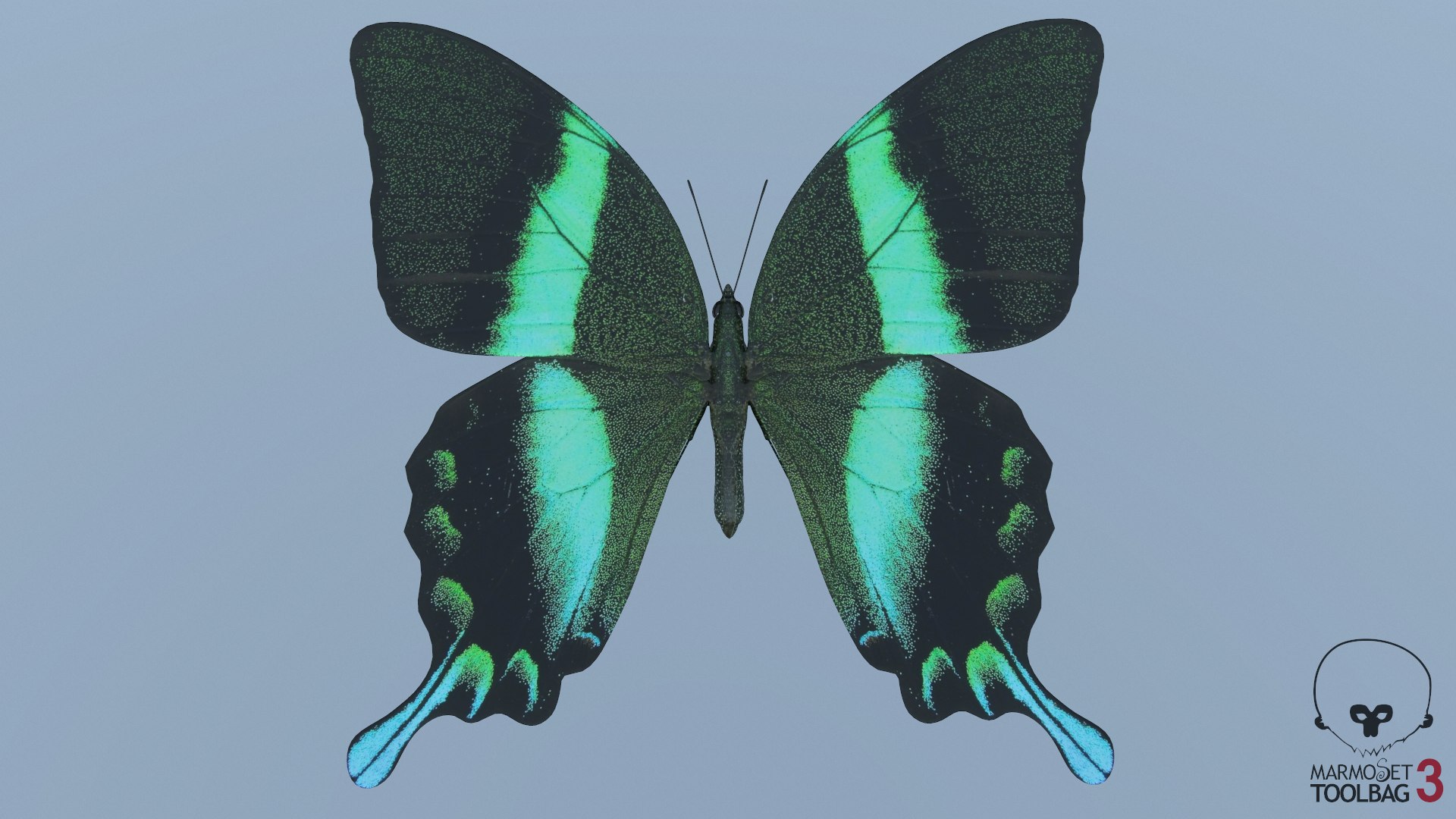 butterfly monarch 3D model https://p.turbosquid.com/ts-thumb/WB/o9vQwV/AzxdNbAG/screenshot1885/png/1596266805/1920x1080/fit_q87/8560131d3172cac3de09ee14bba5703377b4376d/screenshot1885.jpg