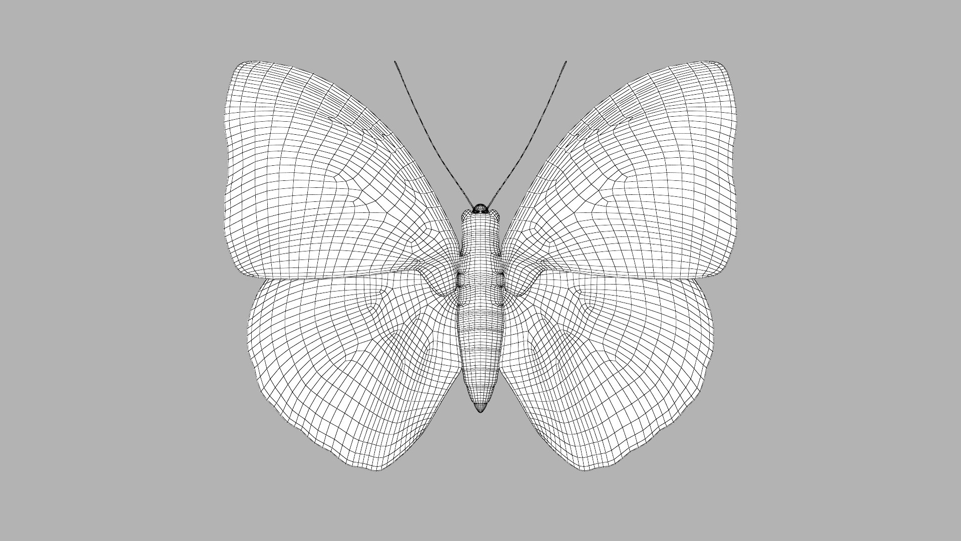 butterfly monarch 3D model https://p.turbosquid.com/ts-thumb/WB/o9vQwV/GbksccKH/agriasclaudina_r1w/png/1596266721/1920x1080/fit_q87/cb5f4b41463b58aef3a01f3208e84d0c2bd7da99/agriasclaudina_r1w.jpg
