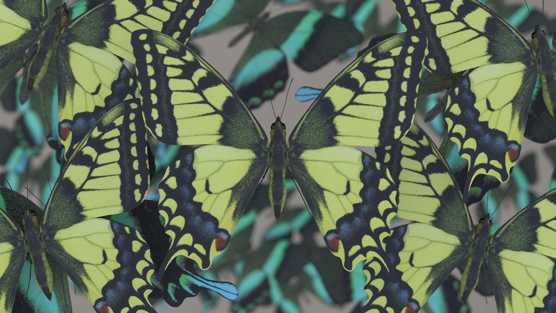 butterfly monarch 3D model https://p.turbosquid.com/ts-thumb/WB/o9vQwV/McSaNVKd/pappilio_r1c/png/1596266787/1920x1080/fit_q87/8c8f7fe7eec7343c34262bf1c9dd1b86df9cb994/pappilio_r1c.jpg